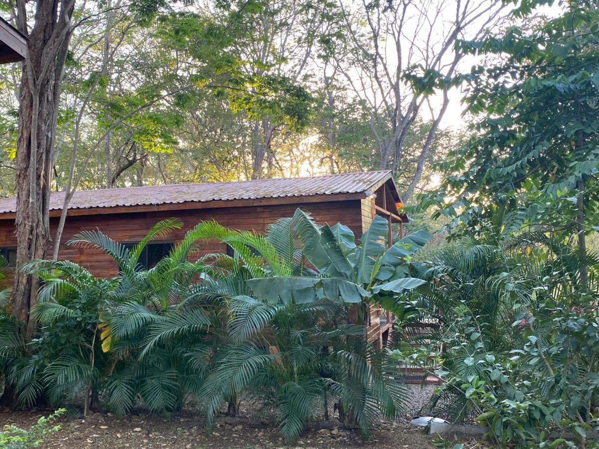 Casa Natural Brasilito Εξωτερικό φωτογραφία