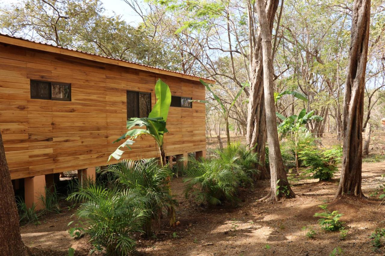 Casa Natural Brasilito Εξωτερικό φωτογραφία